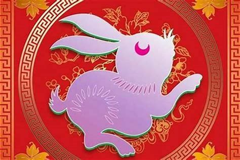 兔马可以婚配吗(马与兔配婚姻好不好)