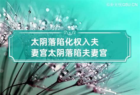 太阴陷入夫妻宫男命(太阴在夫妻宫配偶颜值)