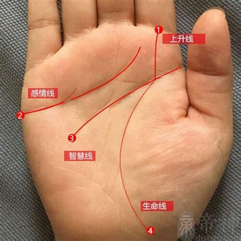 婚姻线旁边出现杂纹代表什么(婚姻线突然出现)
