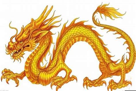 属鸡的能带龙吗,属鸡人带龙玉佩好不好