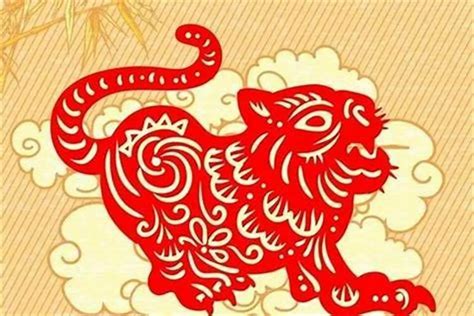 虎年属虎人运势(虎年属虎人的运势如何)