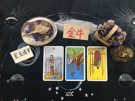 星巫塔罗2024年金牛座(伽巫塔罗射手座2024)