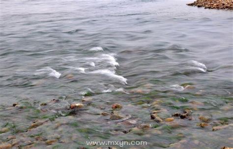 梦见河水很浑很脏,梦见很脏的河水很多垃圾