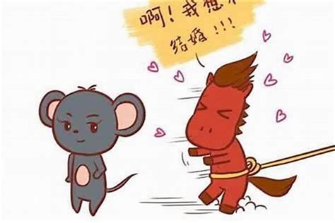 男的属鸡女的属鼠能在一起一辈子吗,属鼠与属鸡可不可以做情人