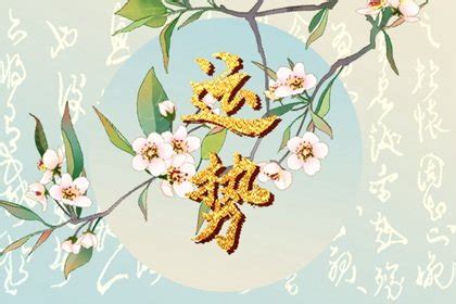 今年生肖每月运势(今年生肖运势2024免费)