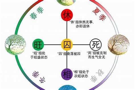 干支五行旺衰详论日支是什么,日干五行旺衰对照表