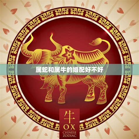 属蛇和鼠牛,属蛇和属牛的婚姻怎么样