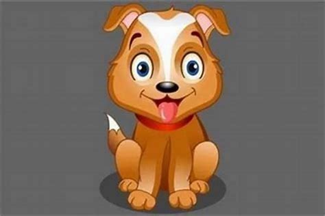 属狗的人个性特点是什么,属狗的人有什么特征