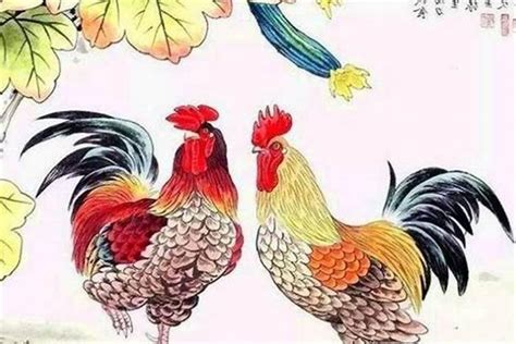 鸡与龙婚配是否合适,鸡为什么是龙的贵人