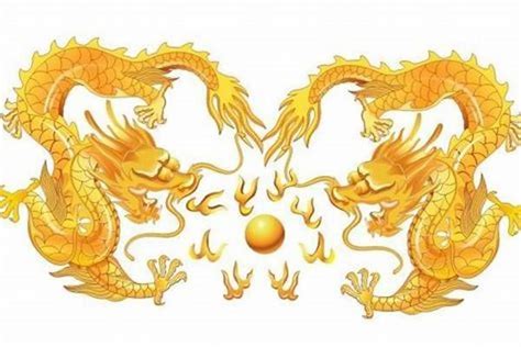 龙和龙的婚配属相配吗,同一年的龙和龙配吗