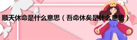 顺天改命是什么意思,顺天休命什么意思