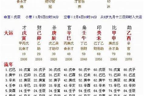 2024大运流年金舆,大运遇到禄神